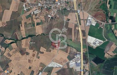 CB CLASS SUSURLUK ÜMİTELİ 11.606 m² YOLA CEPHE SATILIK TARLA