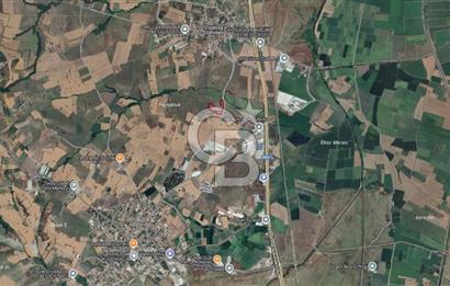 CB CLASS SUSURLUK ÜMİTELİ 11.606 m² YOLA CEPHE SATILIK TARLA