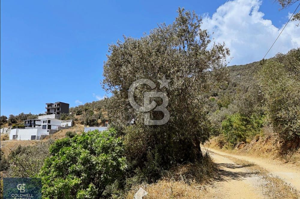 EDREMİT ALTINOLUK'TA DENİZ MANZARALI İMARLI ARSA 531 M2