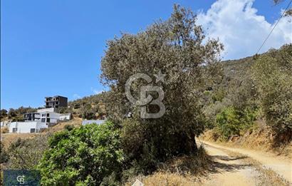 EDREMİT ALTINOLUK'TA DENİZ MANZARALI İMARLI ARSA 531 M2