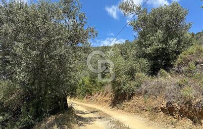 EDREMİT ALTINOLUK'TA DENİZ MANZARALI İMARLI ARSA 531 M2