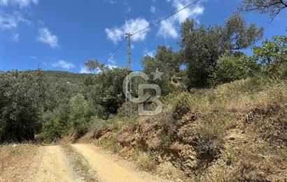 EDREMİT ALTINOLUK'TA DENİZ MANZARALI İMARLI ARSA 531 M2