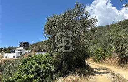 EDREMİT ALTINOLUK'TA DENİZ MANZARALI İMARLI ARSA 531 M2