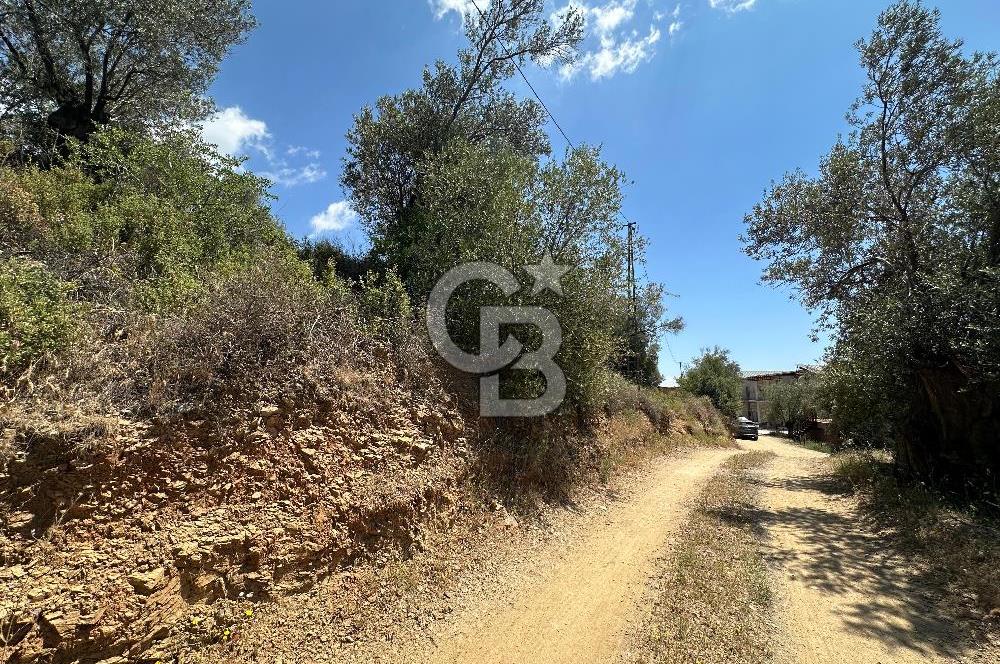 EDREMİT ALTINOLUK'TA DENİZ MANZARALI İMARLI ARSA 531 M2