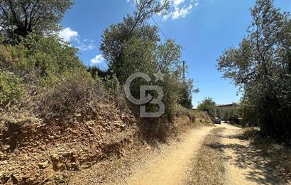 EDREMİT ALTINOLUK'TA DENİZ MANZARALI İMARLI ARSA 531 M2