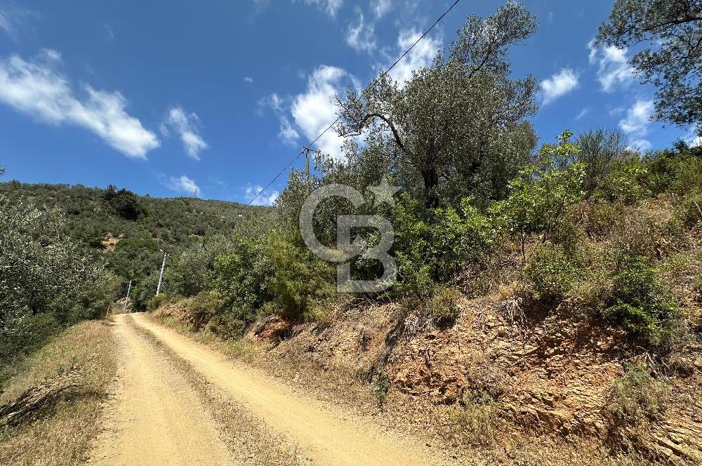 EDREMİT ALTINOLUK'TA DENİZ MANZARALI İMARLI ARSA 531 M2