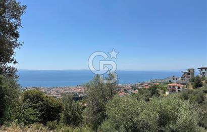 EDREMİT ALTINOLUK'TA DENİZ MANZARALI İMARLI ARSA 531 M2