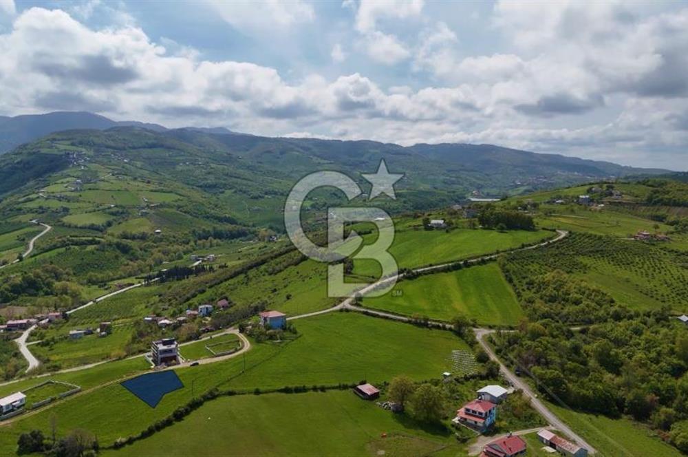 TAFLAN DA SATILIK ŞEHRİN EN GÜZEL NİTEKLİ ARSASI