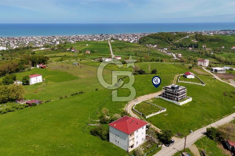 TAFLAN DA SATILIK ŞEHRİN EN GÜZEL NİTEKLİ ARSASI