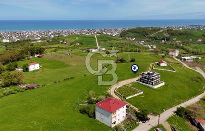 TAFLAN DA SATILIK ŞEHRİN EN GÜZEL NİTEKLİ ARSASI