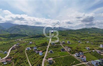 TAFLAN DA SATILIK ŞEHRİN EN GÜZEL NİTEKLİ ARSASI