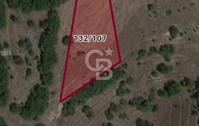 CB CITY'DEN BİLECİK PAZARYERİ'NDE 2225 M² SATILIK TARLA