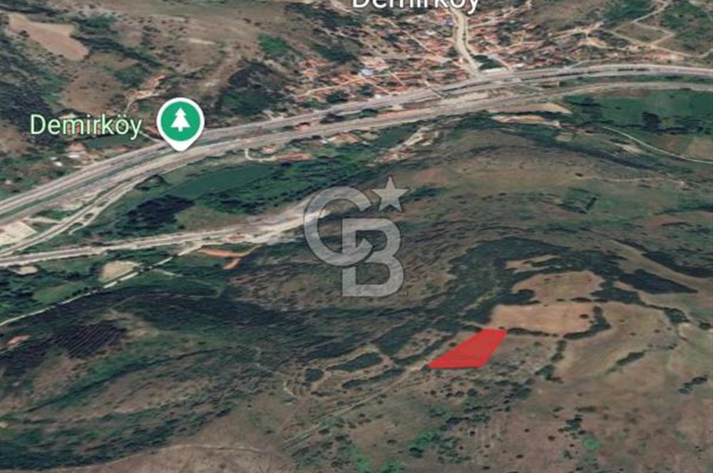 CB CITY'DEN BİLECİK PAZARYERİ'NDE 2225 M² SATILIK TARLA