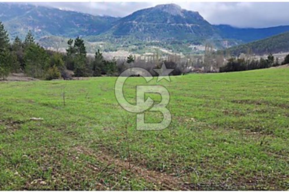 Burdur Gölhisar Elmalıyurt Köyü'nde Satılık Tarla