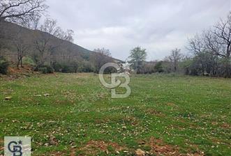 Başkarcı'da Satılık Tarla