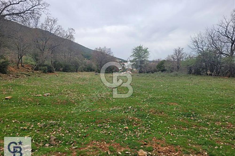 Başkarcı'da Satılık Tarla