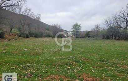 Başkarcı'da Satılık Tarla