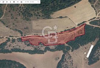 CB AMBIANCE'DAN KESTEL ÇATALTEPE KÖYÜNDE 9092m2 YATIRIMLIK TARLA