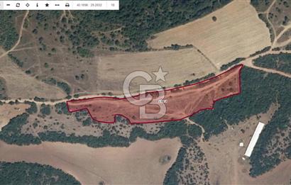 CB AMBIANCE'DAN KESTEL ÇATALTEPE KÖYÜNDE 9092m2 YATIRIMLIK TARLA
