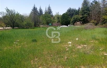 GÖLBAŞI İKİZCE MAH. ÇINAR SİTESİNDE SATILIK DEĞERLİ BAHÇE