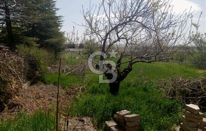 GÖLBAŞI İKİZCE MAH. ÇINAR SİTESİNDE SATILIK DEĞERLİ BAHÇE