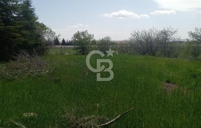 GÖLBAŞI İKİZCE MAH. ÇINAR SİTESİNDE SATILIK DEĞERLİ BAHÇE