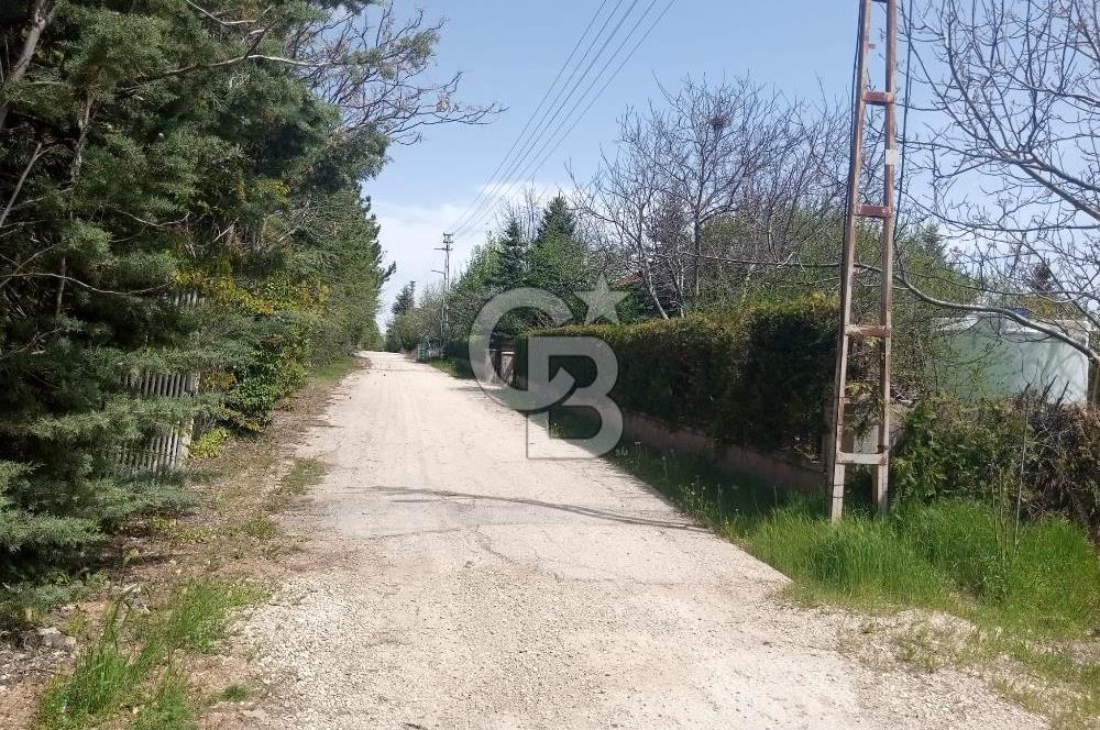 GÖLBAŞI İKİZCE MAH. ÇINAR SİTESİNDE SATILIK DEĞERLİ BAHÇE