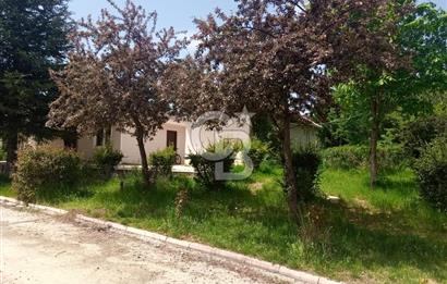 GÖLBAŞI İKİZCE MAH. ÇINAR SİTESİNDE SATILIK DEĞERLİ BAHÇE