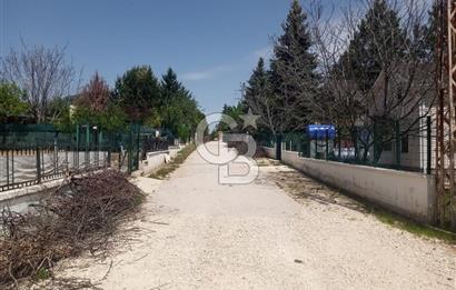 GÖLBAŞI İKİZCE MAH. ÇINAR SİTESİNDE SATILIK DEĞERLİ BAHÇE