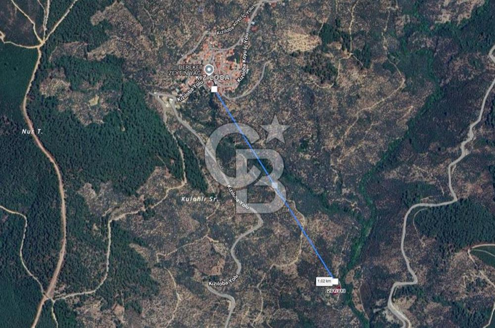 CB CLASS İZMİR BAYINDIR KIZILOBA 431,15 m² YATIRIMLIK ZEYTİNLİK