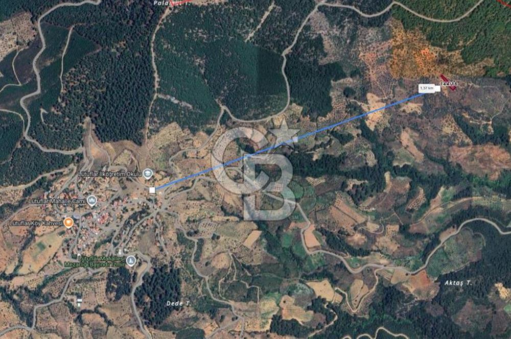 CB CLASS İZMİR BAYINDIR LUTUFLAR 968,11 m² YATIRIMLIK ZEYTİNLİK