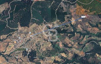 CB CLASS İZMİR BAYINDIR LUTUFLAR 968,11 m² YATIRIMLIK ZEYTİNLİK
