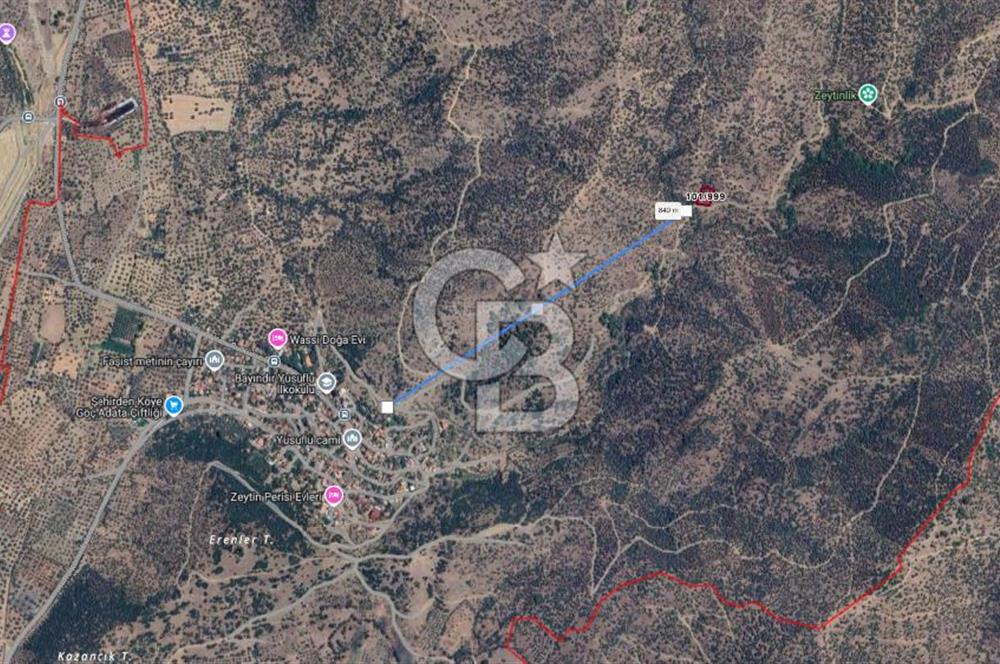 CB CLASS İZMİR BAYINDIR YUSUFLU 1.223,69 m² YATIRIMLIK ZEYTİNLİK