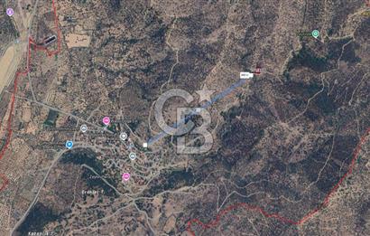 CB CLASS İZMİR BAYINDIR YUSUFLU 1.223,69 m² YATIRIMLIK ZEYTİNLİK