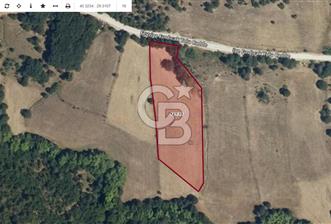 CB AMBIANCE'DAN GEMLİK FINDICAK KÖYÜNDE 8016 M2 TARLA