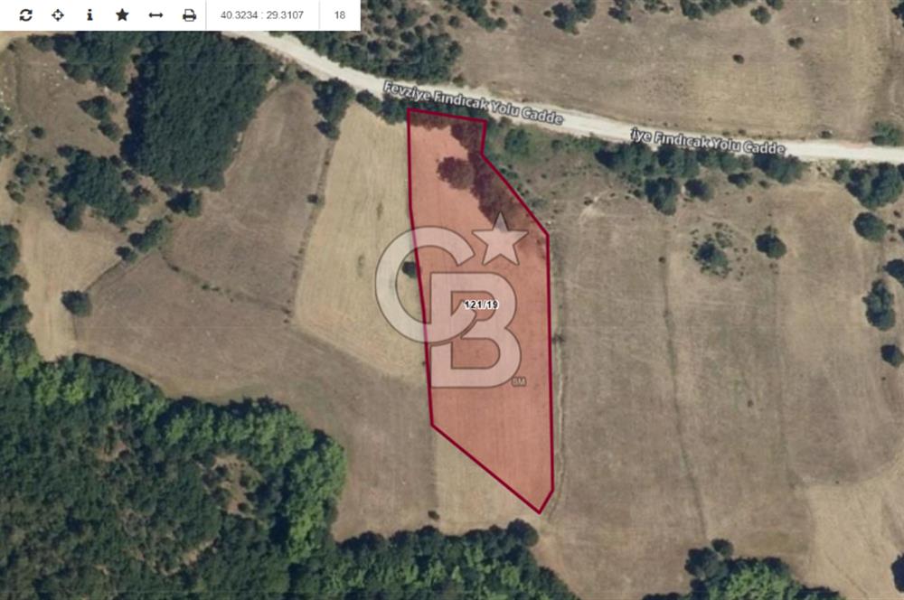 CB AMBIANCE'DAN GEMLİK FINDICAK KÖYÜNDE 8016 M2 TARLA