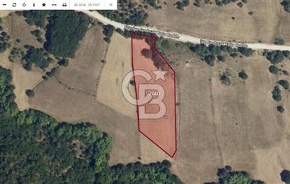CB AMBIANCE'DAN GEMLİK FINDICAK KÖYÜNDE 8016 M2 TARLA