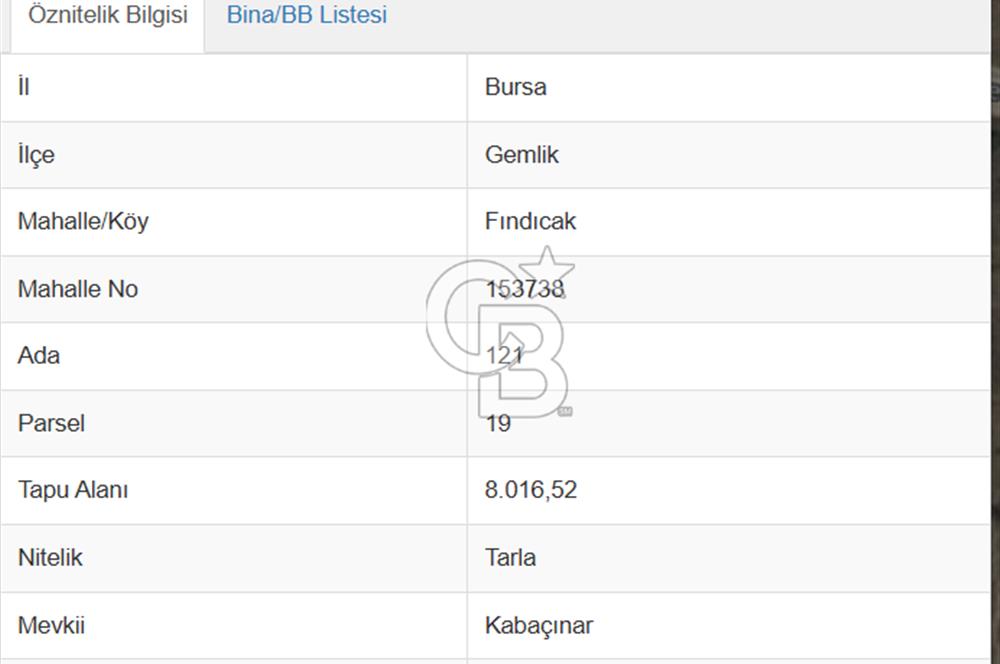 CB AMBIANCE'DAN GEMLİK FINDICAK KÖYÜNDE 8016 M2 TARLA