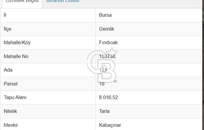 CB AMBIANCE'DAN GEMLİK FINDICAK KÖYÜNDE 8016 M2 TARLA