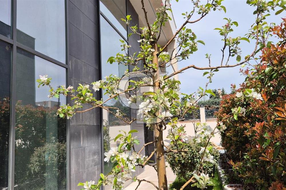 SEÇKİN PROJE QUARTED İNCEKTE SATILIK 8+2 LÜKS VİLLALAR