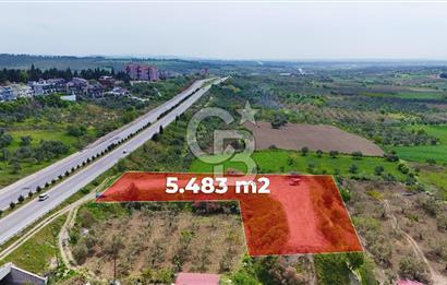İntepe'de Yola 40m Cepheli, 5.483 m² Satılık Fırsat Tarla!