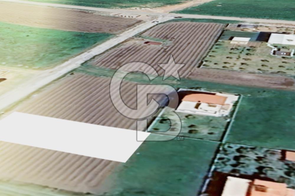 Balıkesir Gömeç Yaya Satılık 433 M2 Villa İmarlı Müstakil Arsa