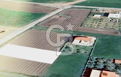 Balıkesir Gömeç Yaya Satılık 433 M2 Villa İmarlı Müstakil Arsa
