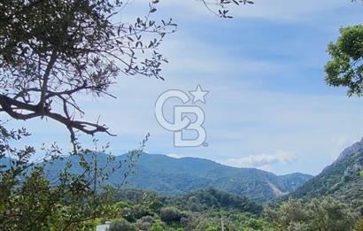 Investment opportunity plots in Bodrum Dağbelen