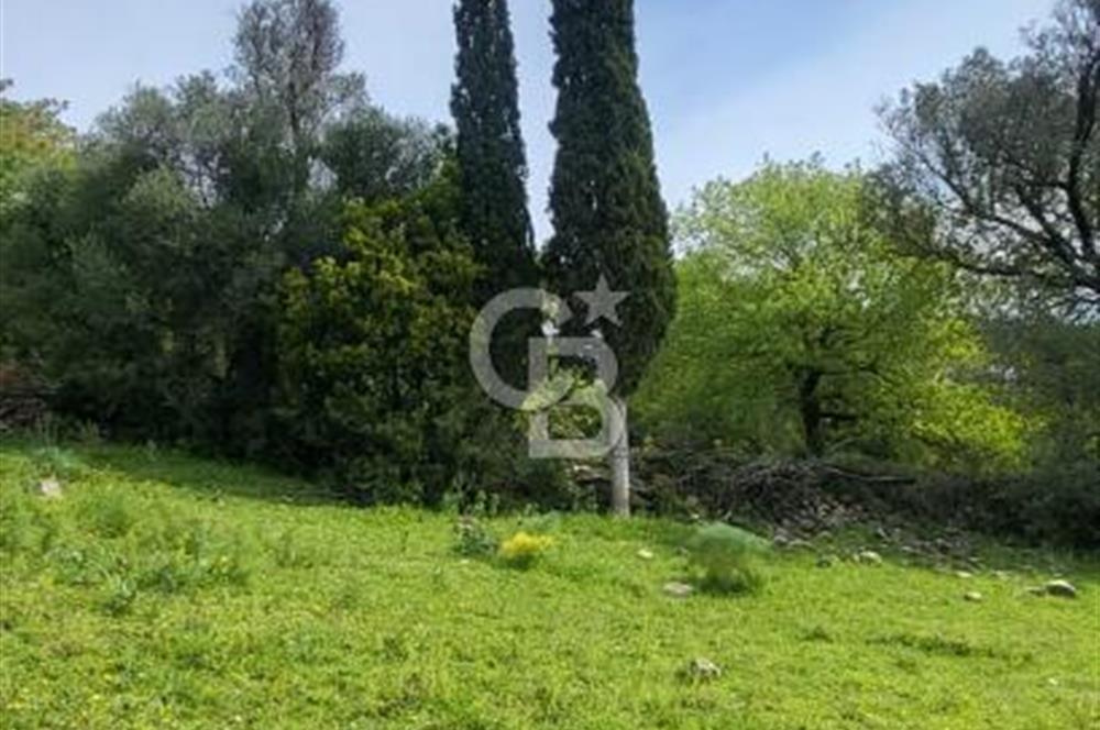 Investment opportunity plots in Bodrum Dağbelen