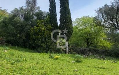 Investment opportunity plots in Bodrum Dağbelen
