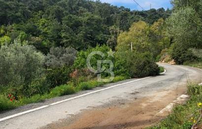 Investment opportunity plots in Bodrum Dağbelen