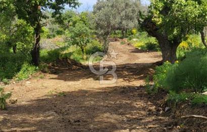 Investment opportunity plots in Bodrum Dağbelen