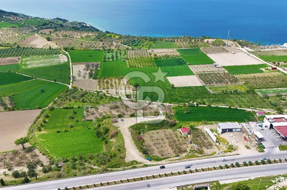 İntepe'de Yola 40m Cepheli, 5.483 m² Satılık Fırsat Tarla!