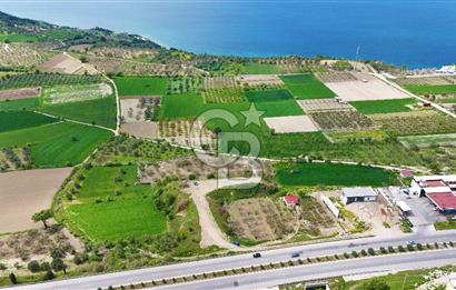 İntepe'de Yola 40m Cepheli, 5.483 m² Satılık Fırsat Tarla!